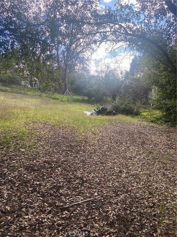 Picture 13