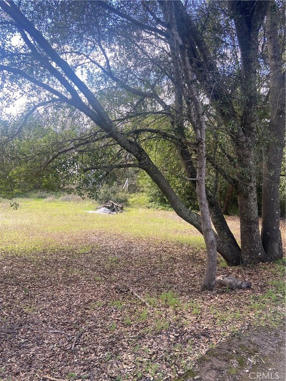 Picture 8