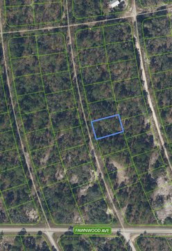 Land & Docks, Lake Placid, FL