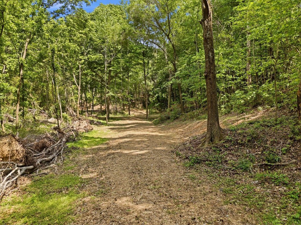 Picture 21