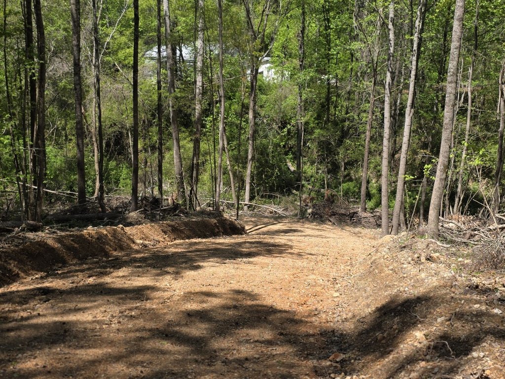 Picture 19