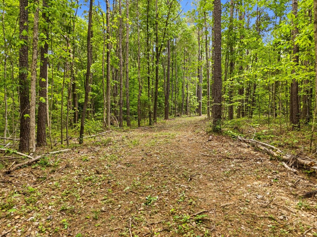 Picture 22