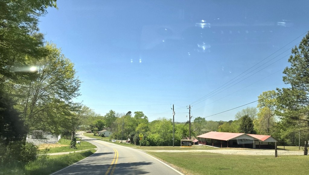 Picture 45