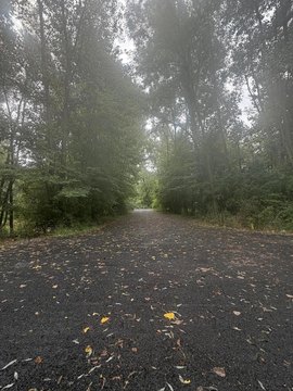 LAND - Marshall, MI