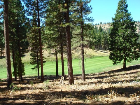 Grizzly Ranch Vacant Lot