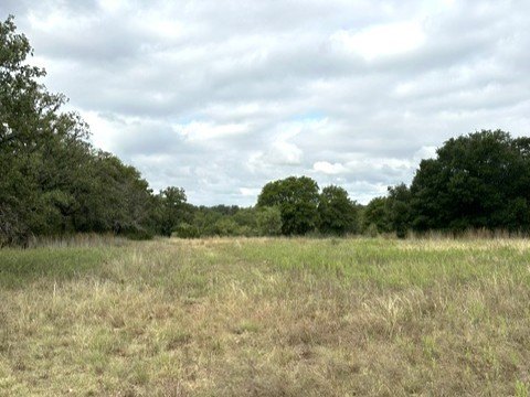 Picture 23