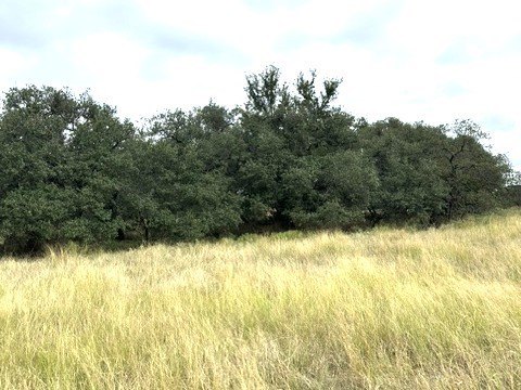 Picture 21