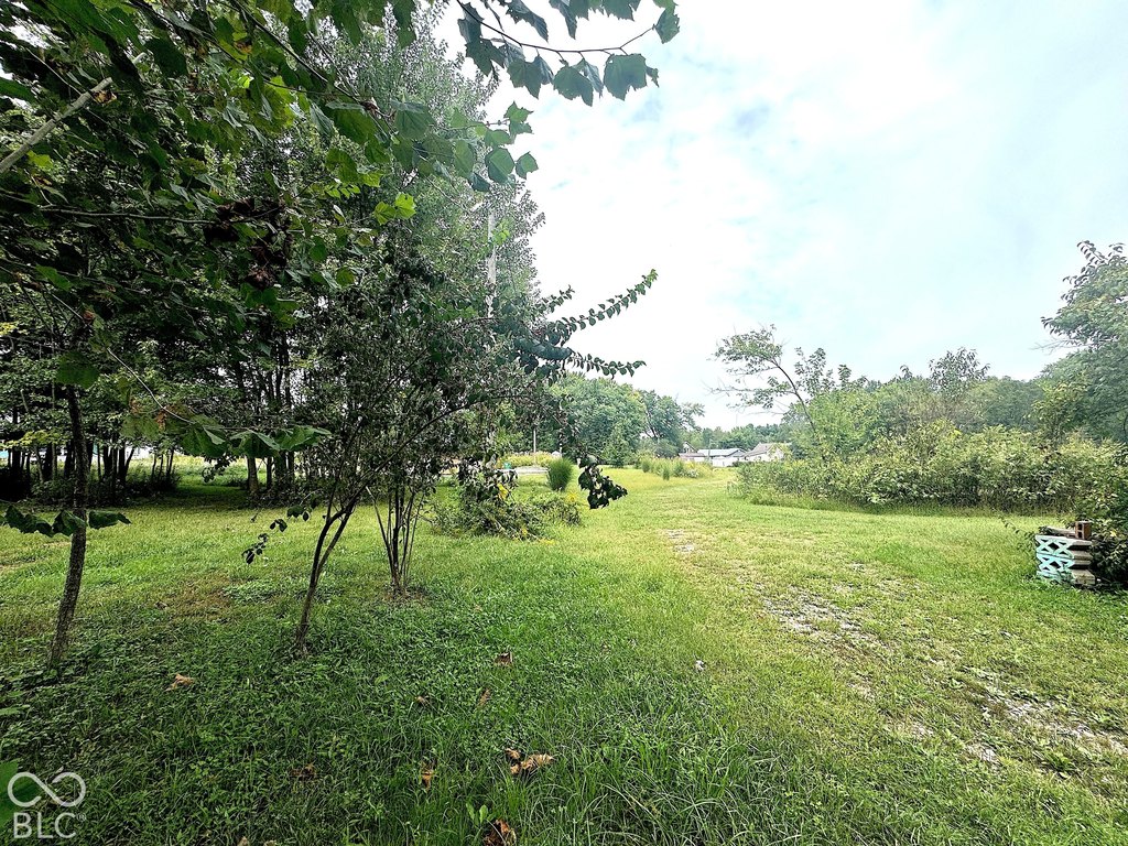Picture 11