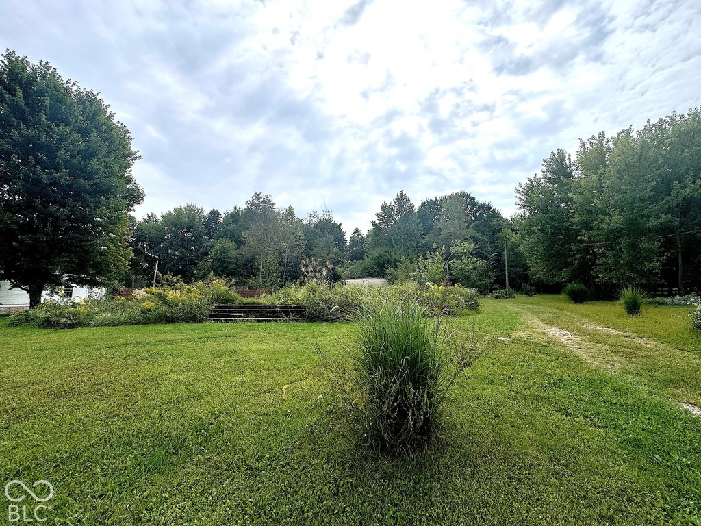 Picture 8