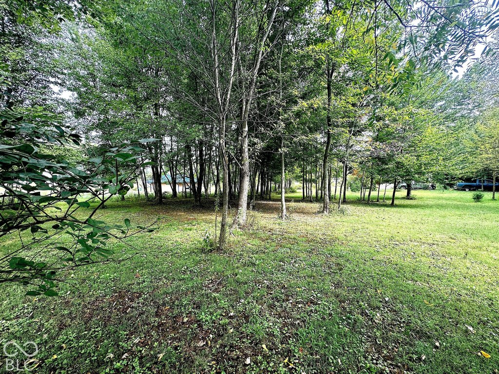 Picture 17