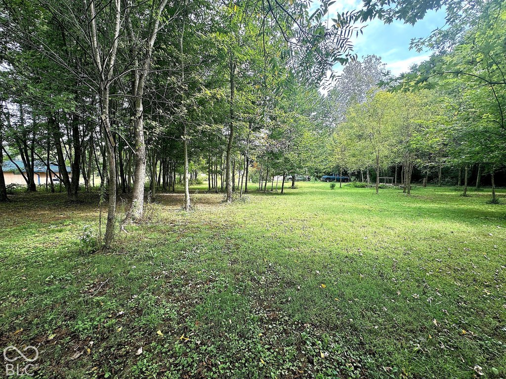 Picture 13