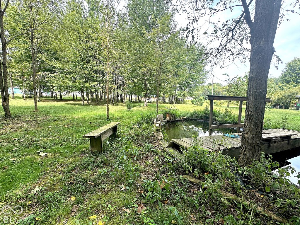 Picture 15
