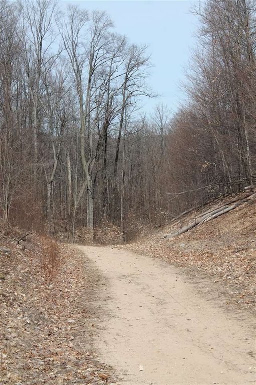 Picture 11