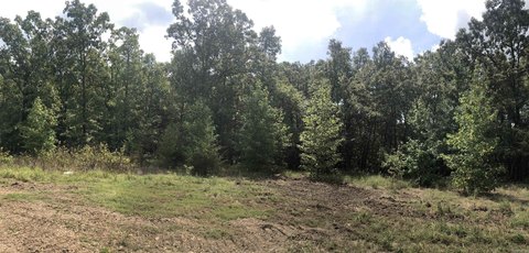 LAND - Vilonia, AR