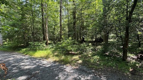 LAND - MOLLUSK, VA