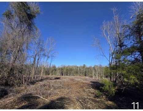 23 Acres Wooded Land, Slocomb