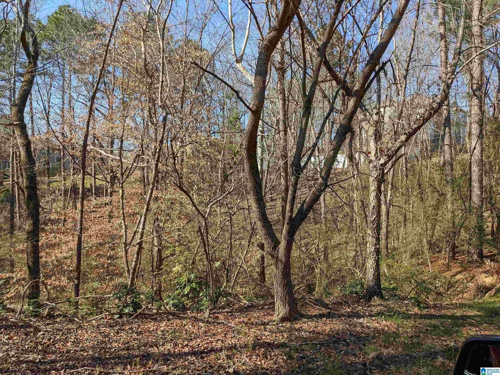 Picture 37