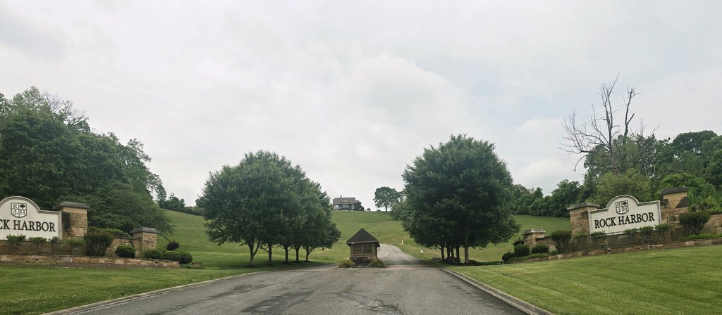 Picture 8