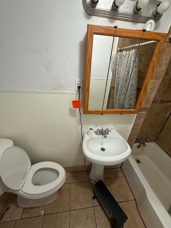 Picture 33