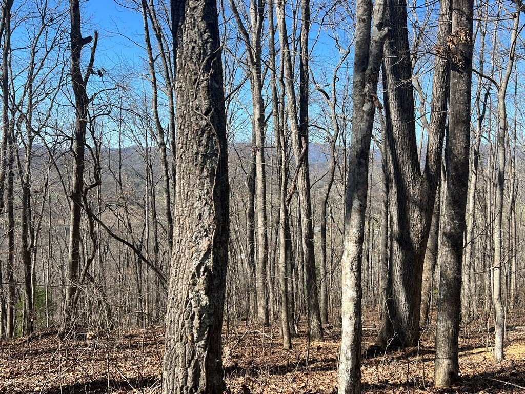 Picture 27