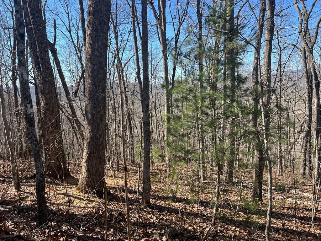 Picture 26