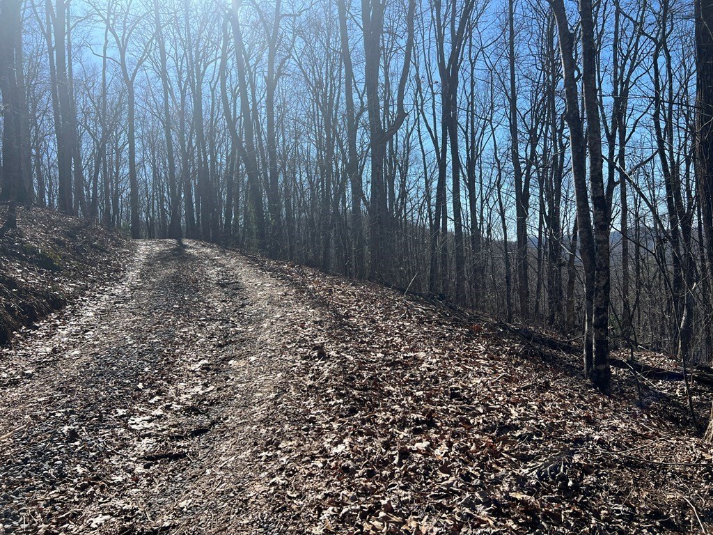 Picture 19