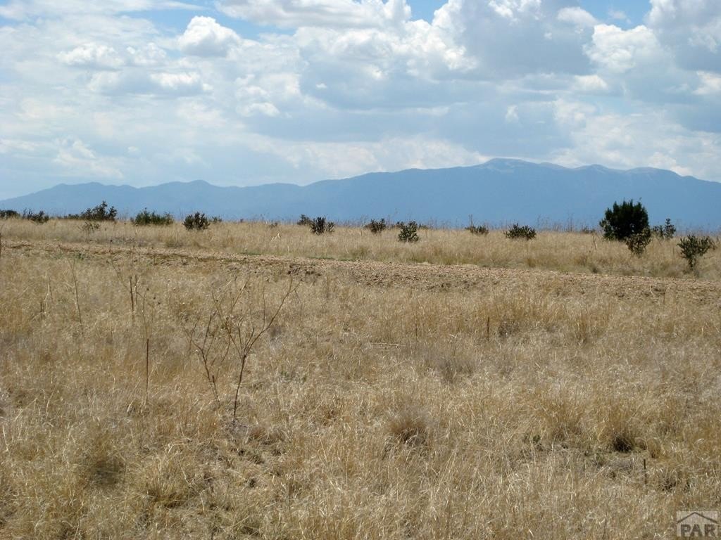 Land For Sale in Rye