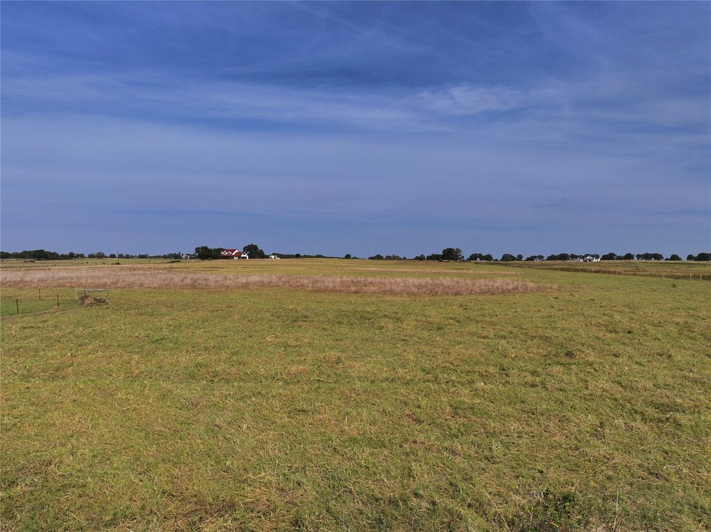 Picture 10