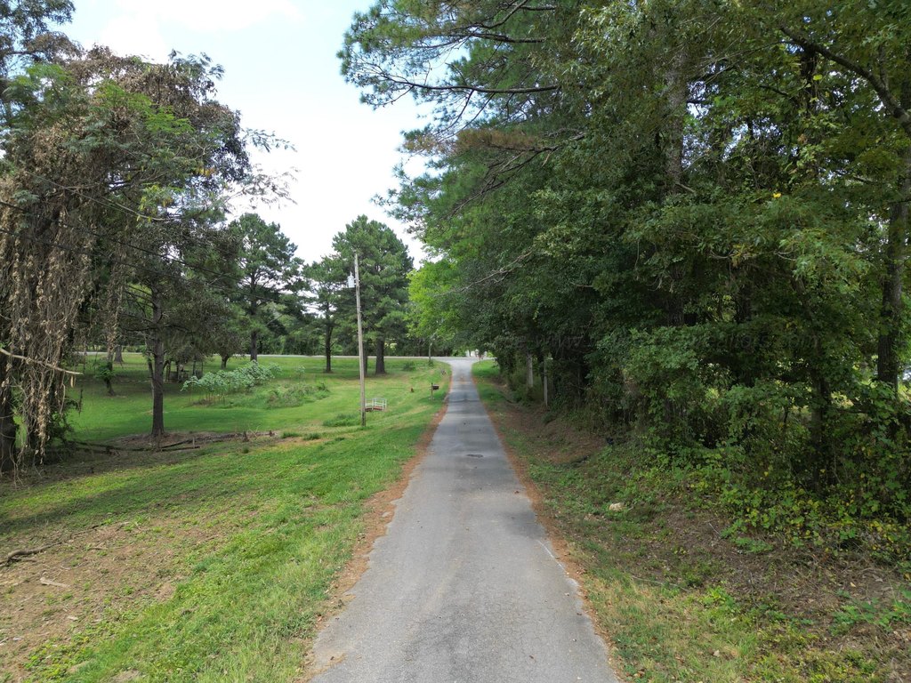 Picture 24