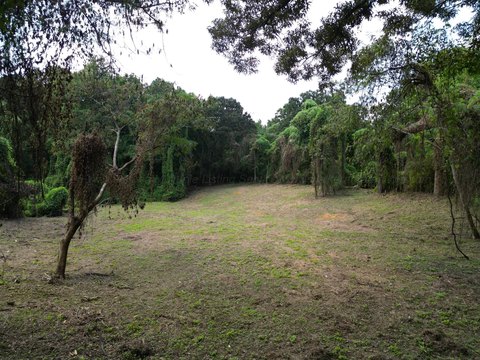 Land, Jasper, AL