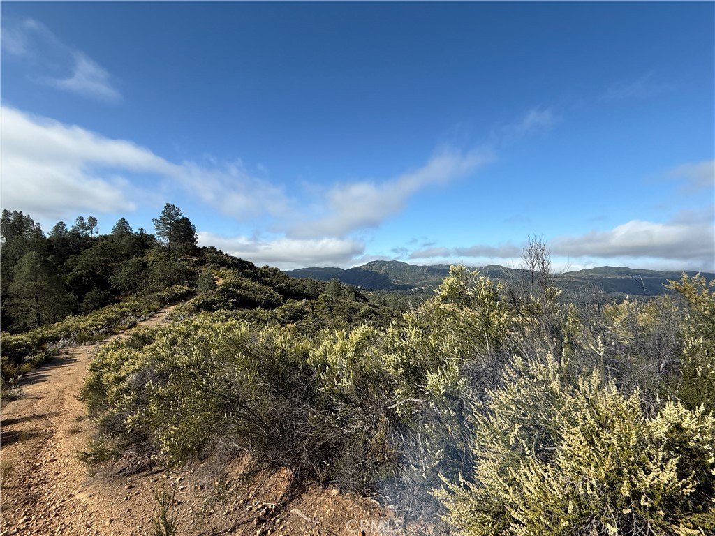 Secluded 40-Acre Getaway Property