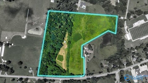 LAND - Geraldine, AL