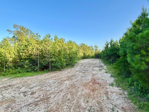 Scenic Lot in Gated Community