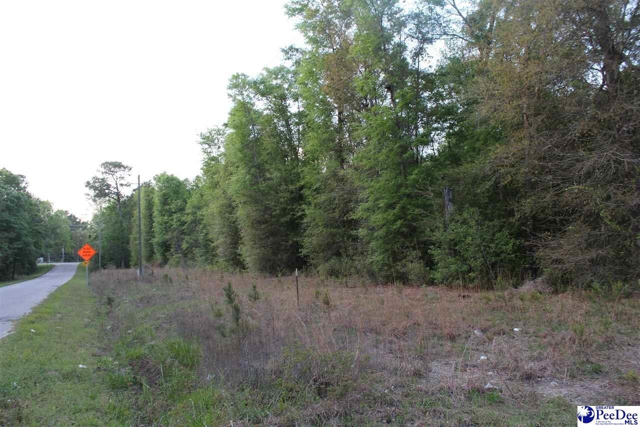 Wooded Lot Near Black River
