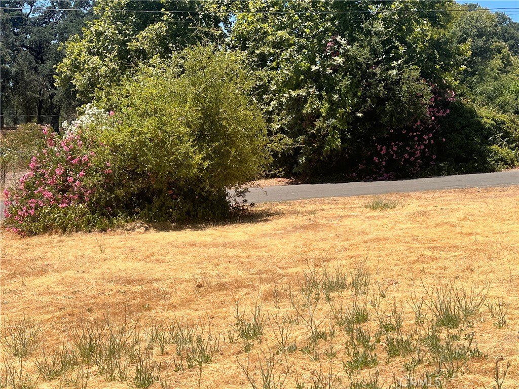 Picture 3