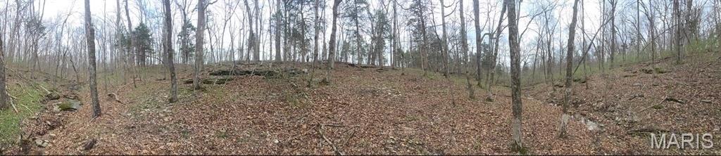 Picture 14