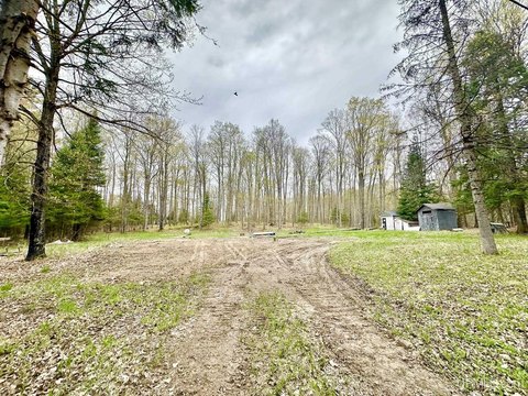 Partially Wooded Lot with Utilities