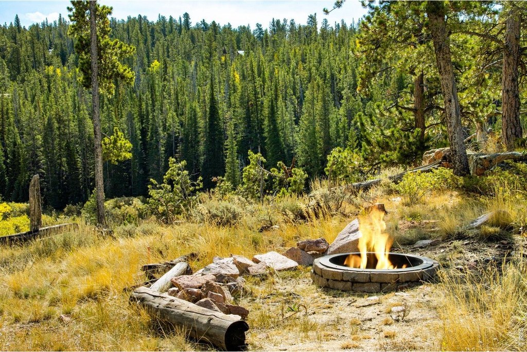 Picture 30