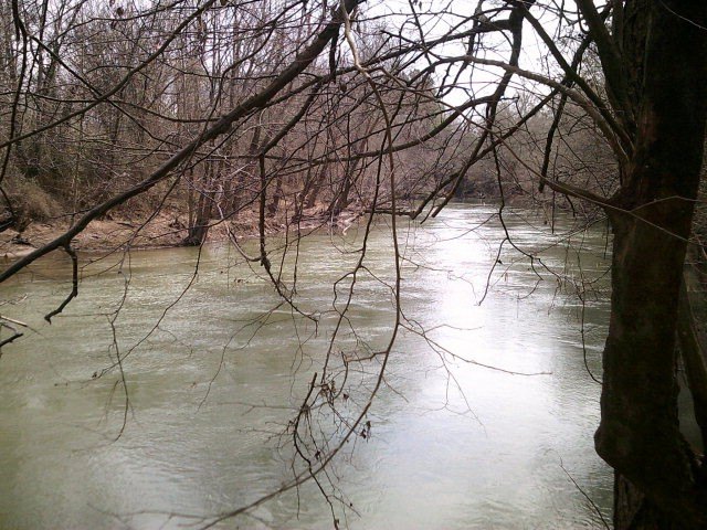Picture 9