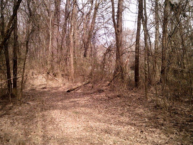 Picture 6