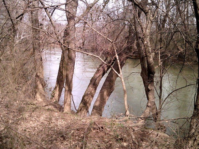 140+ Acre Riverfront Land