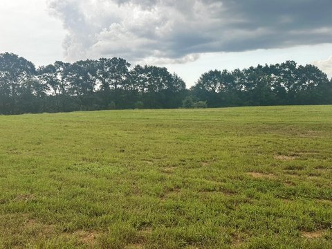 Land, Headland, AL