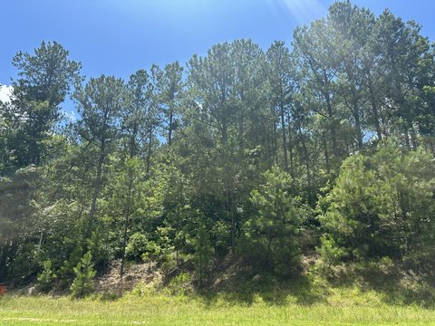 LAND - Lincolnton, GA