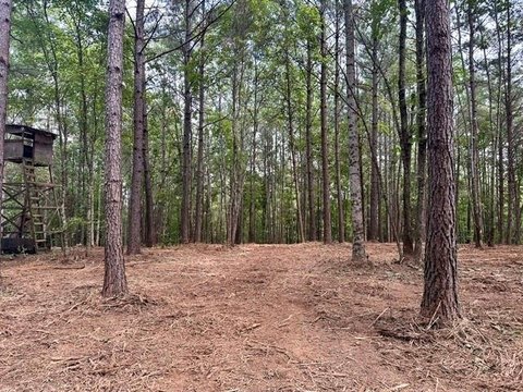 Land, Dahlonega, GA