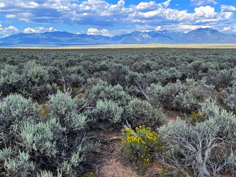 635 Acres in Taos County