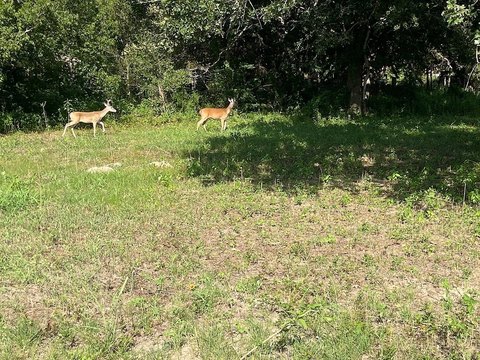 Land, Somerville, TX