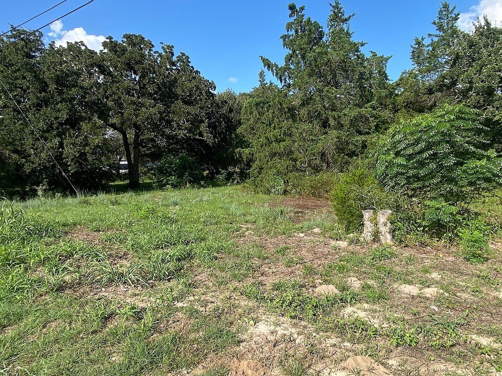 Picture 6