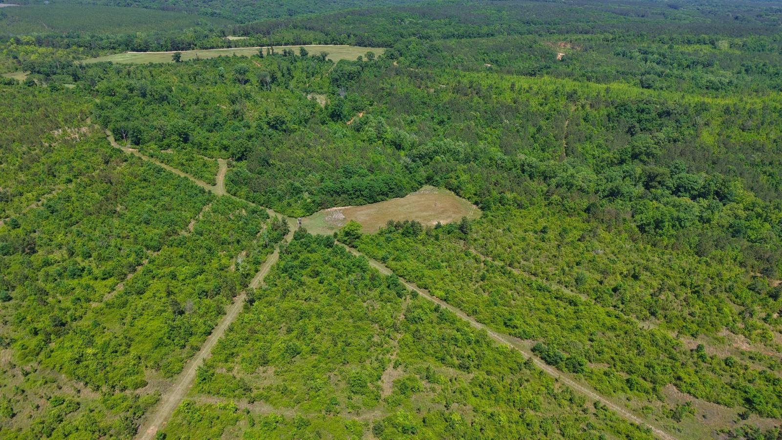 Autaugaville Vacant Recreational Land