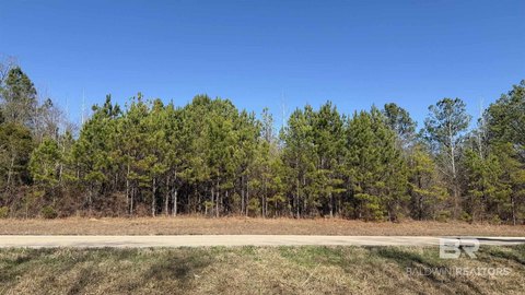 Land, Beatrice, AL