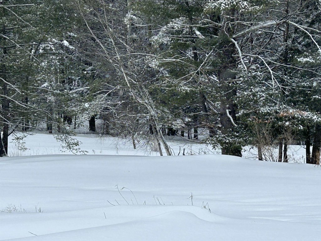 Picture 13